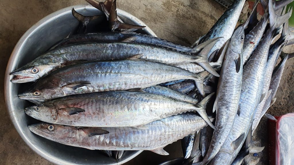 Cá thu đao tươi sống