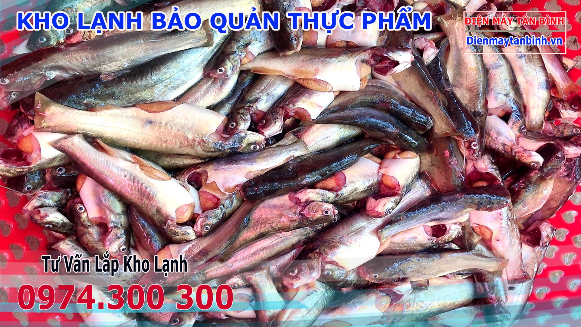 Món cá ngạnh kho tiêu thơm lừng, hấp dẫn