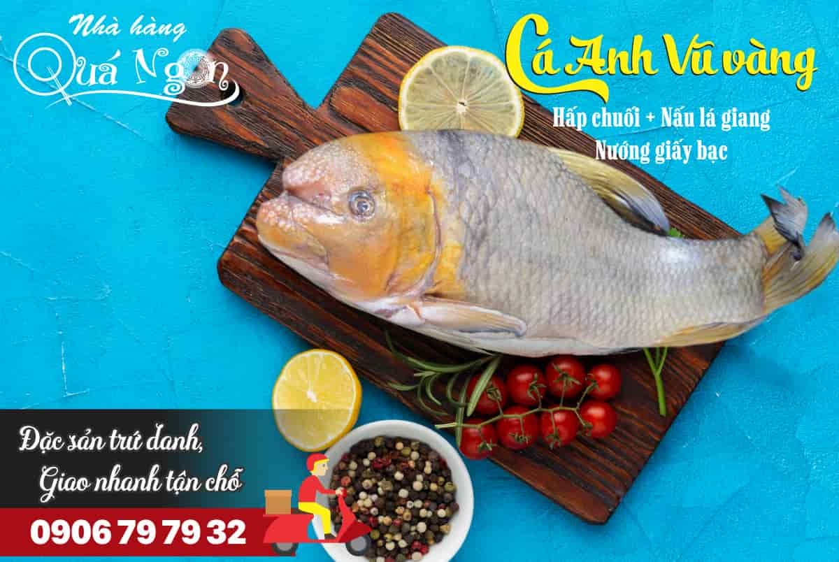 Cá Anh Vũ với đôi môi đặc trưng đang bơi trong bể nước