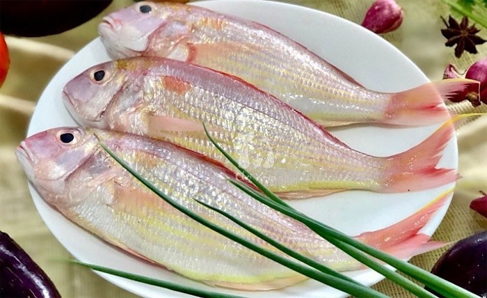Cá hường có xương hơi nhiều, thịt cá trắng, ít khi bị tanh, mềm và rất ngon.