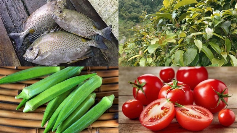 Nguyên liệu chính cho món cá dìa nấu canh chua lá giang
