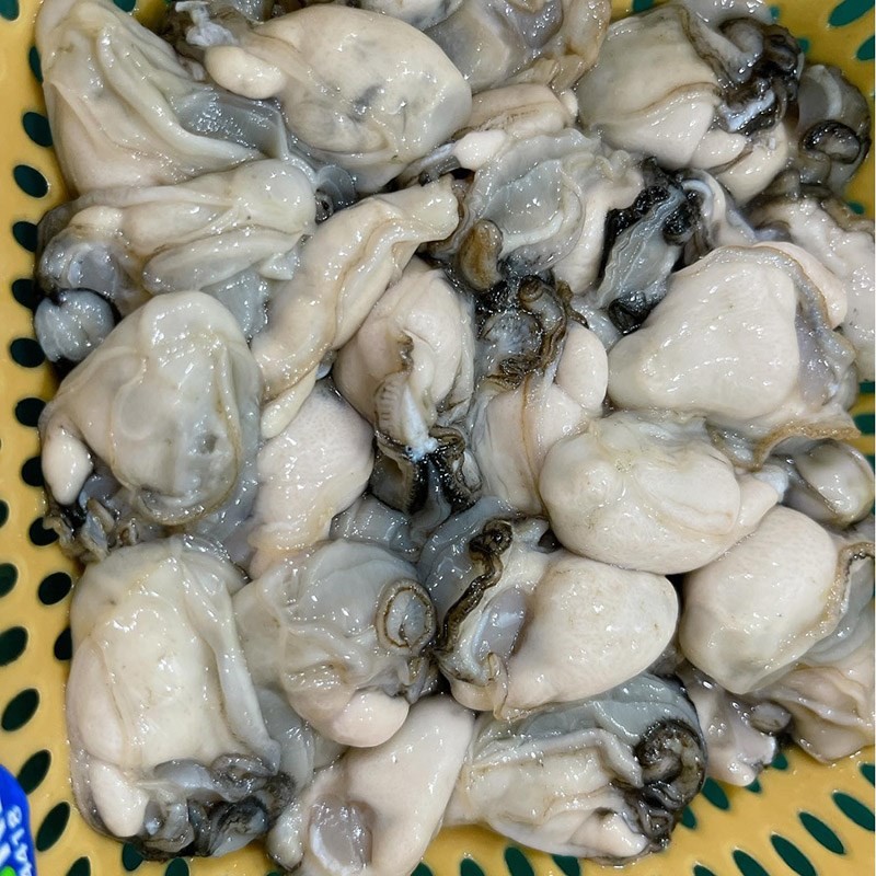 Hàu sữa tươi đang được sơ chế để loại bỏ tạp chất
