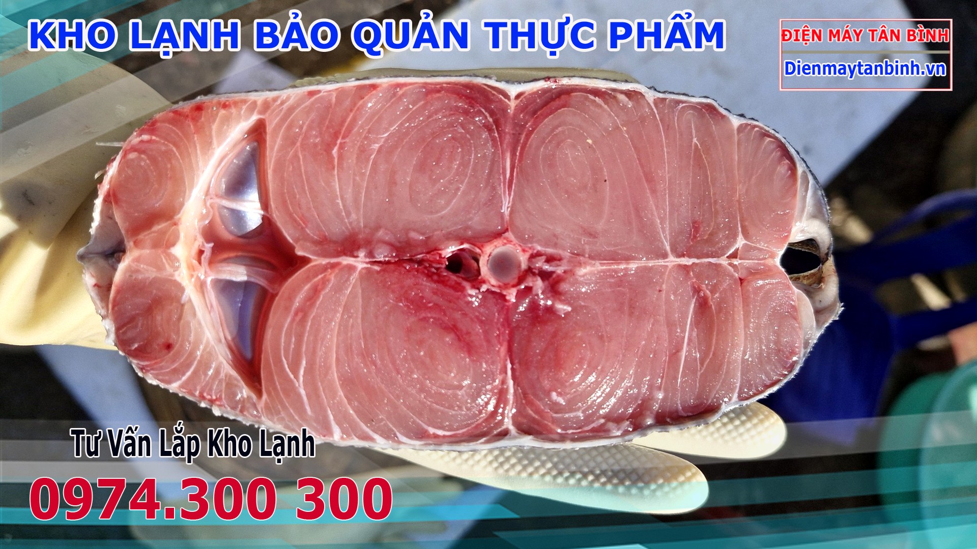 Cá cờ biển tươi sống được phi lê, thể hiện rõ thớ thịt trắng, chắc