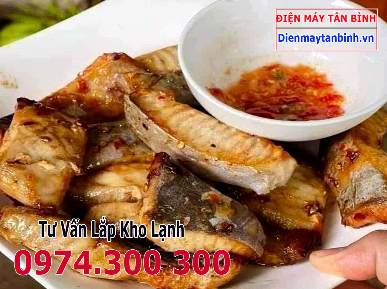 Cách chọn cá cờ biển tươi ngon: thân cá săn chắc, da sáng, mắt trong