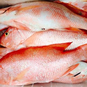 Cá hồng bạc tươi sống