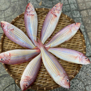 Cá hường tươi sống
