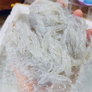 Cá mờm tươi sống