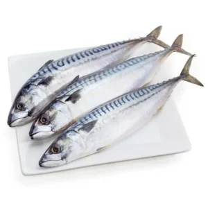 cá nục bông tươi sống