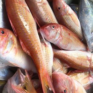 Cá phèn tươi sống