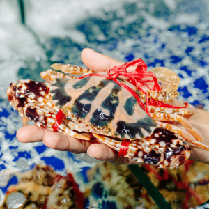 Ghẹ đỏ tươi sống