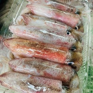 Mực cơm tươi sống