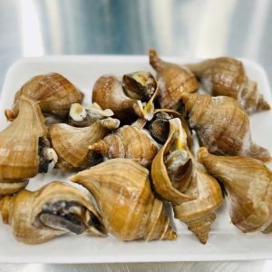 ốc xoăn tươi sống