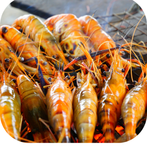 Tôm Nương tươi sống